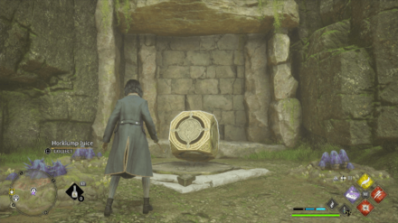 Hogwarts Legacy - Northeast of Rookwood Castle Floo Flame Step 2