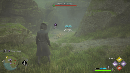 Hogwarts Legacy - Northwest of Rookwood Castle Floo Flame Step 1