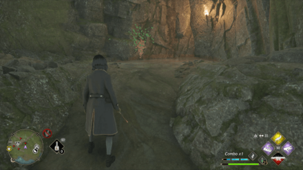 Hogwarts Legacy - Northwest of Rookwood Castle Floo Flame Step 3