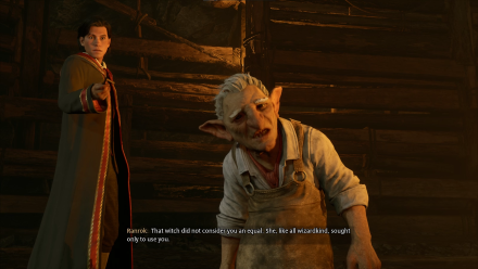 Hogwarts Legacy - Prepare for Your OWLS, Lodgok