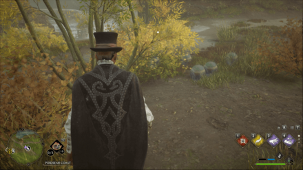 Hogwarts Legacy - South of Poidsear Castle Merlin Trial - Balls 2