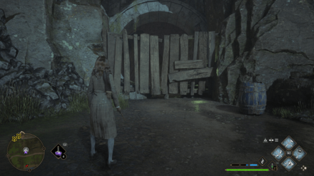 Hogwarts Legacy - West of Coastal Mine Floo Flame Entrance