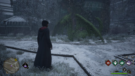 Hogwarts Legacy - What Do Dragon Bushes Do?