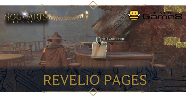 Revelio Pages Top Banner