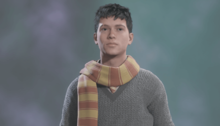 Striped House Colour Scarf