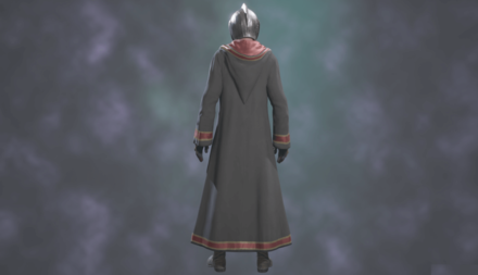 Distinguished School Robe