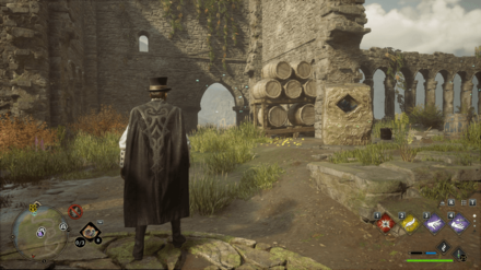 Hogwarts Legacy - Marunweem Ruins Merlin Trial - Butterflies 1