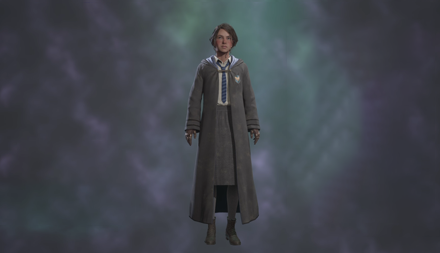 Hogwarts Legacy - Traditional School Robe