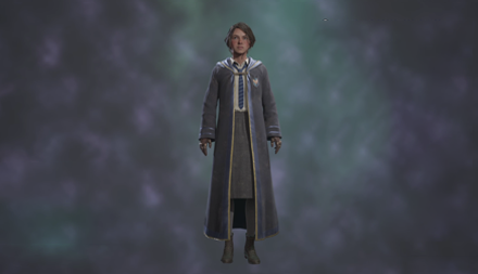 Hogwarts Legacy - Majestic School Robe