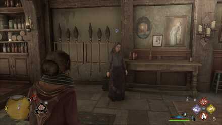 Hogwarts Legacy Follow the Butterflies Location