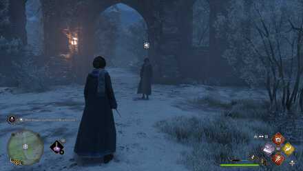 Hogwarts Legacy A Bird in the Hand Location