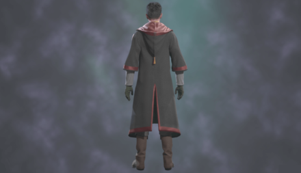 Distinguished School Cloak