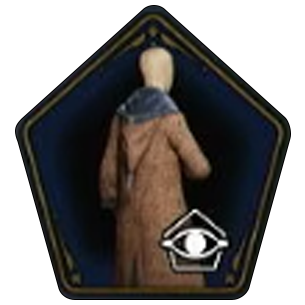 Distinguished Amber Cloak