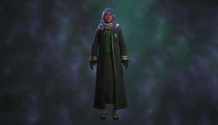 Hogwarts Legacy - Decorative School Robe
