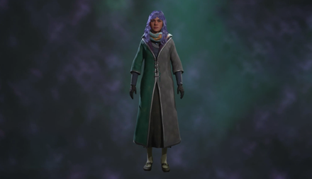 Hogwarts Legacy - House Fan-Atic School Robe