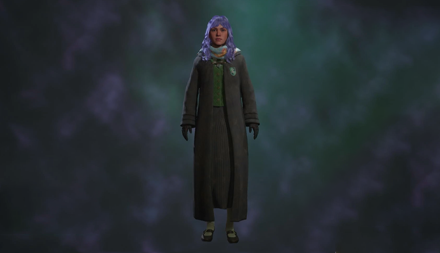 Hogwarts Legacy - Traditional School Robe