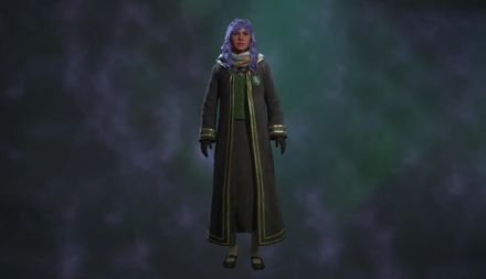 Hogwarts Legacy - Distinguished School Robe