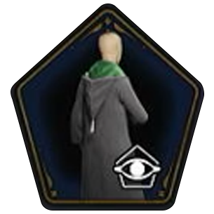 Traditional School Cloak