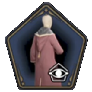 Velvet House Cloak