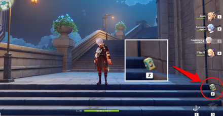 How to use windblume kamera