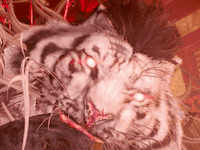 Wo Long: Fallen Dynasty - Sun Jian Icon