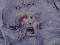 Wo Long: Fallen Dynasty - Zhang Jiao, General of Heaven Icon