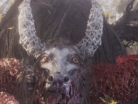 Wo Long: Fallen Dynasty - Aoye Icon