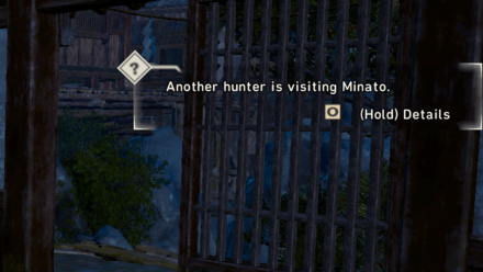 Wild Hearts - Complete Visitor Hunts