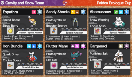 Pokemon Scarlet and Violet - Gravity and Snow Team