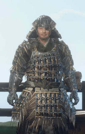 Wild Hearts - Veteran