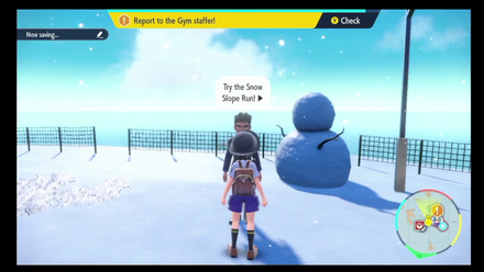 Pokemon Scarlet and Violet - Glaseado Gym Test Report