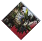 Woodland Birdking II