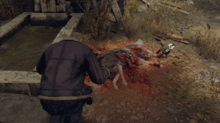 Resident Evil 4 Remake - Look Out for Environmental Clues.png