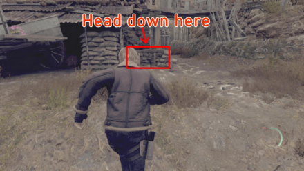 Resident Evil 4  Remake - Well Entrance