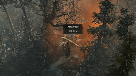 Diablo 4 - Maulwood Fractured Peaks Dobrev Taiga Map
