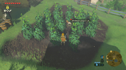 The Spring of Wisdom Image