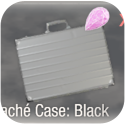 Case Black