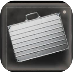 case silver.png