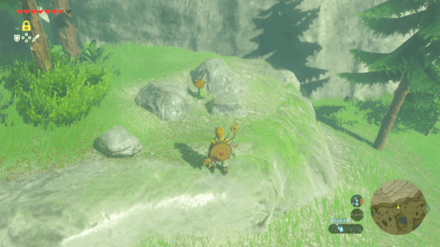 Botw - Akkala Korok 3 Overworld View