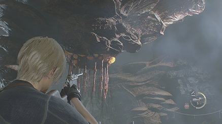 Resident Evil 4 Remake - Insect Hive Entrance Location 2