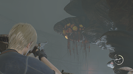 Resident Evil 4 Remake - Insect Hive Entrance Location 3