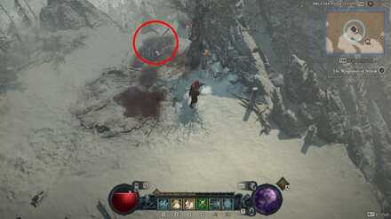 Diablo IV - Woodsman