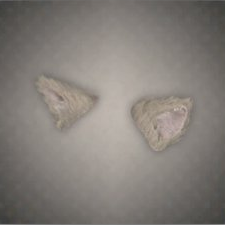 RE4R - Cat Ears