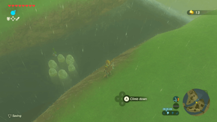 Botw - Akkala Korok 10 Overworld View