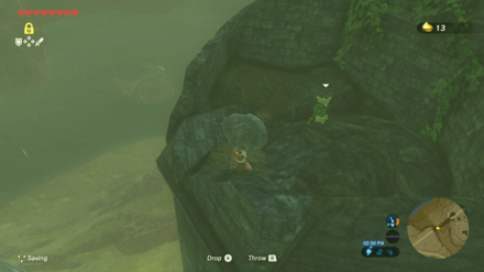 Botw - Akkala Korok 12 Overworld View