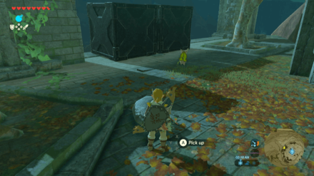 Botw - Akkala Korok 17 Overworld View