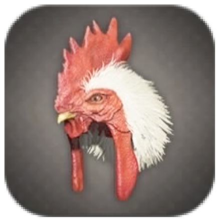 Resident Evil 4 Remake - Chicken Hat