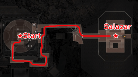 Follow Salazar 1.png