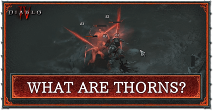 Diablo 4 - What are Thorns?
