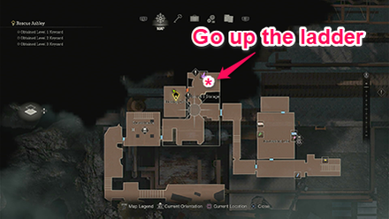 Resident Evil 4 Remake - Ladder